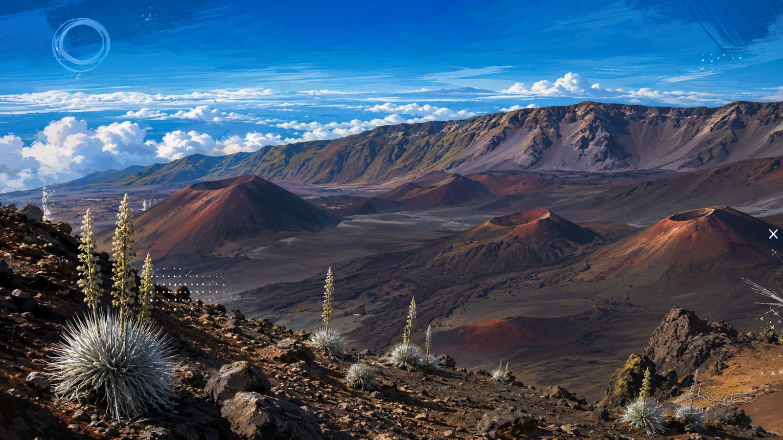 Haleakalā on Maui, the cinder cones spread across the floor of the summit crater with a silversword in bloom on the rock in the foreground. Dreamy Hawaii 4K desktop wallpaper by Dreams On Kanvas